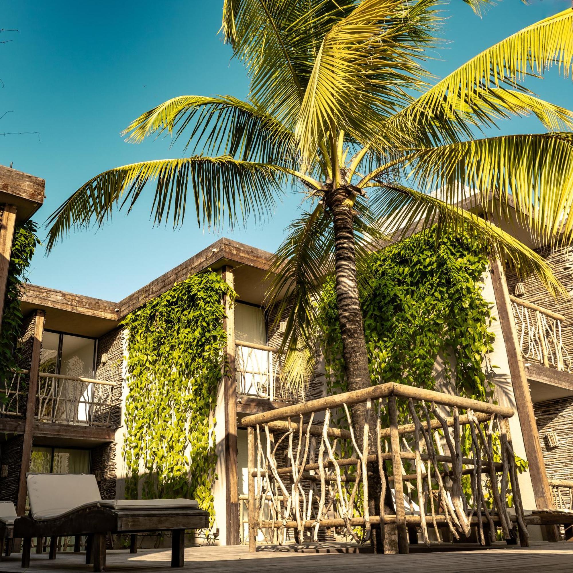 Apenunga Eco Hotel Jijoca de Jericoacoara Esterno foto